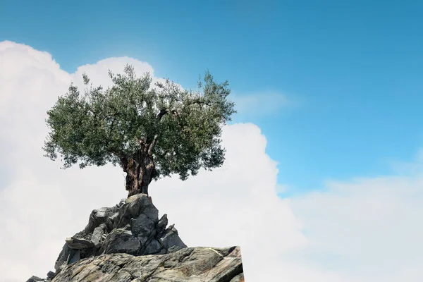 Lonely tree on rock top. Mixed media — Stock Photo, Image