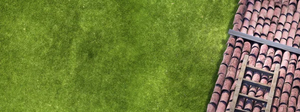 Groen gras abstract — Stockfoto