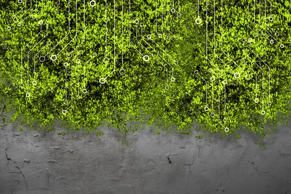 Teksturę betonu i trawa zielona — Zdjęcie stockowe