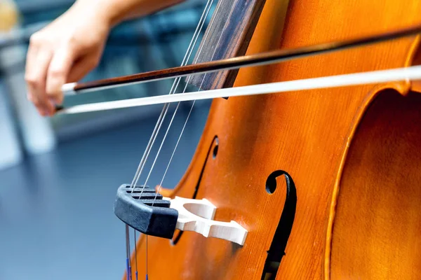 Tutup cello dengan busur di tangan — Stok Foto