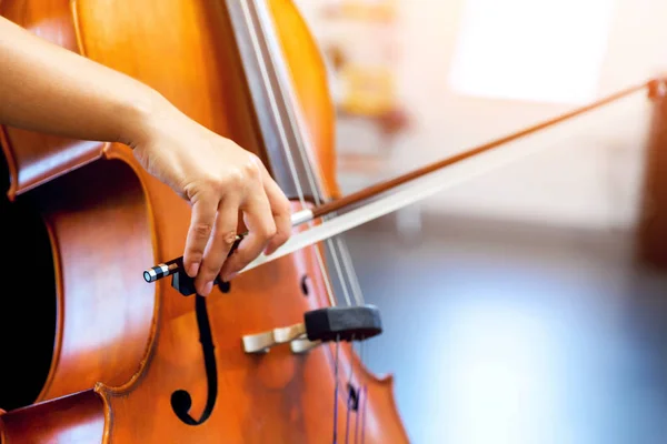 Close-up van cello met strik in handen — Stockfoto