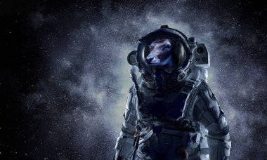 İlk gezi alanı. Karışık teknik