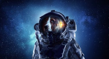 İlk gezi alanı. Karışık teknik