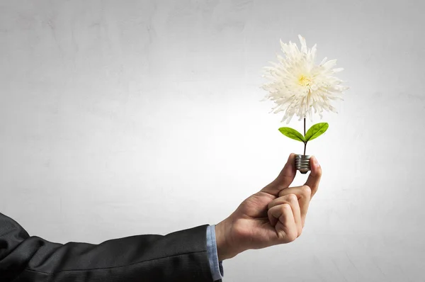 Light bulb in businessman hand. Mixed media — Stock Photo, Image