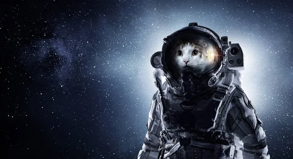 İlk gezi alanı. Karışık teknik