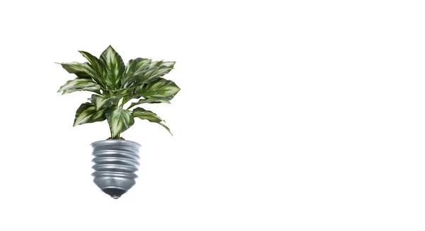 Light Bulb with sprout. Mixed media — Stock Photo, Image