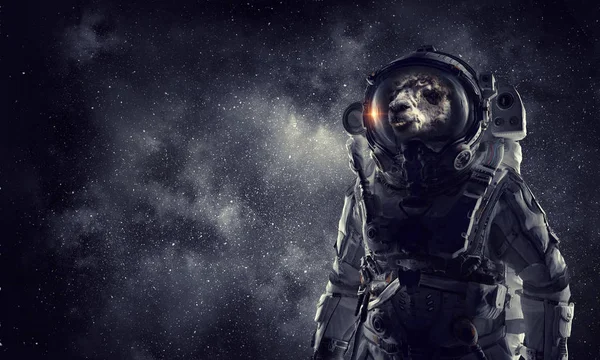 Primer viaje al espacio. Medios mixtos — Foto de Stock