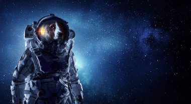 İlk gezi alanı. Karışık teknik