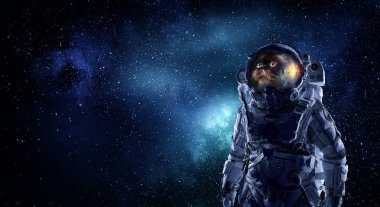 Astronot kedi karşı yıldızlı gökyüzü uzay elbisesi giyiyor. Karışık teknik
