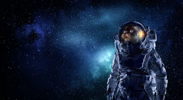 Astronaut Katt Iklädd Rymddräkt Mot Stjärnhimmel Mixed Media — Stockfoto