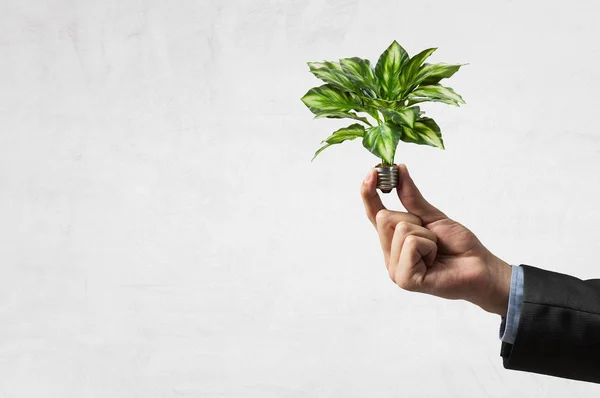 Energía ecológica. Medios mixtos — Foto de Stock