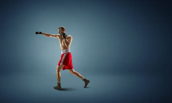 Boxer ganhou o primeiro lugar. Meios mistos — Fotografia de Stock