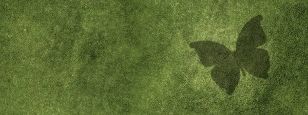 Green grass abstract — Stock Photo, Image