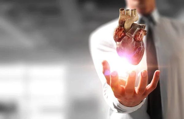 Mans hands showing anatomical heart model. Mixed media. — Stock Photo, Image