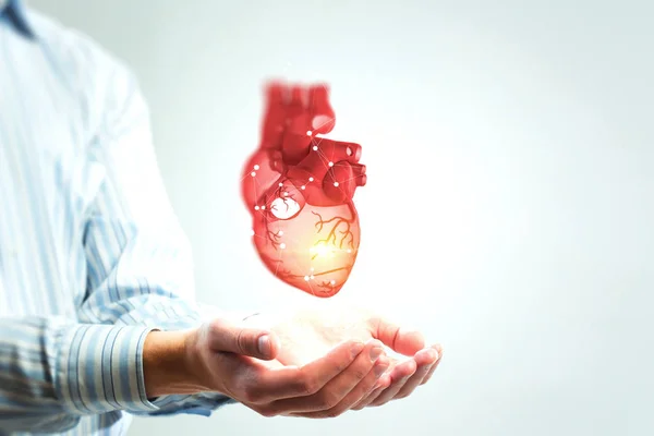 Człowiek s ręce pokazano anatomiczny model serca.. — Zdjęcie stockowe