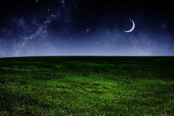 Dark night sky over green grass — Stock Photo, Image