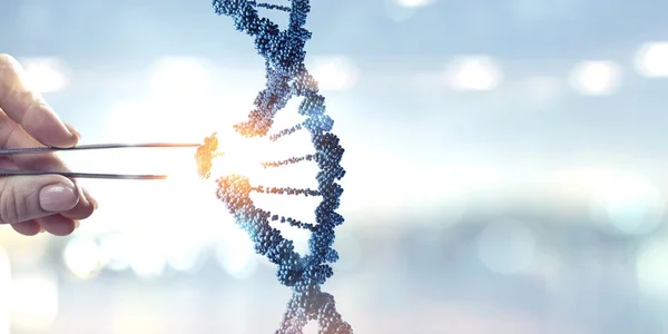 Σχεδιασμός μορίων DNA με θηλυκές τσιμπίδες χειρός. Μεικτά μέσα — Φωτογραφία Αρχείου