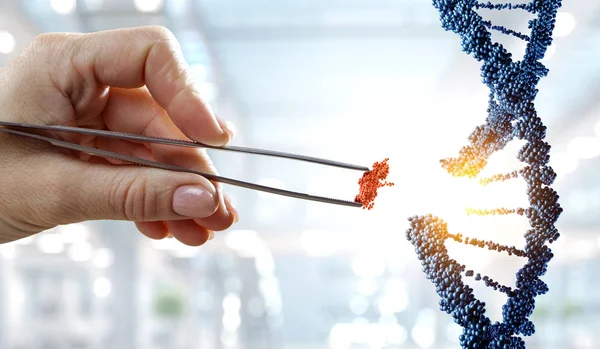 Конструкція молекул ДНК з жіночою рукою, що тримає пінцет. Змішані носії — стокове фото
