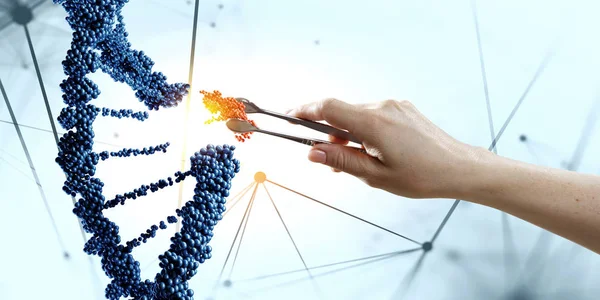 用女性手持钳设计DNA分子。混合媒体 — 图库照片