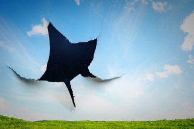 Yırtık kağıt deliğinin efekti