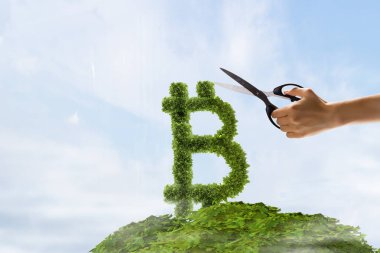 Kripto para biriminin yeşil kavramı