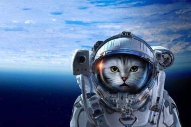 İlk gezi alanı. Karışık teknik