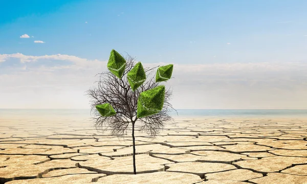 Planta de etéreo verde. Medios mixtos — Foto de Stock