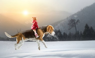 Süper kahraman ve onu uçan köpek
