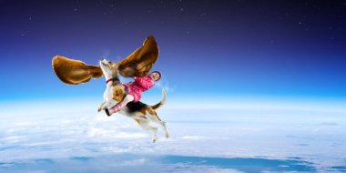 Süper kahraman ve onu uçan köpek