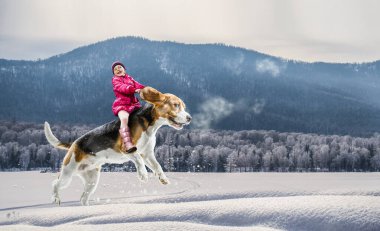 Süper kahraman ve onu uçan köpek