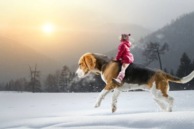 Süper kahraman ve onu uçan köpek
