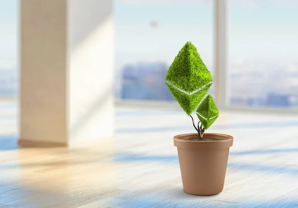 Zöld ethereum növény. Vegyes közegek — Stock Fotó