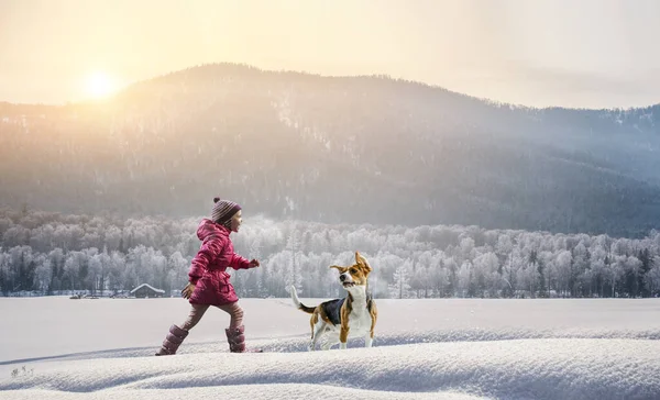 Having winter fun with pet friend — Stock Photo, Image