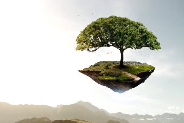 Ağaç ve manzaranın resmi