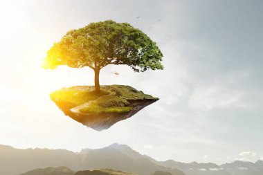Ağaç ve manzaranın resmi
