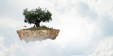 Ağaç ve manzaranın resmi
