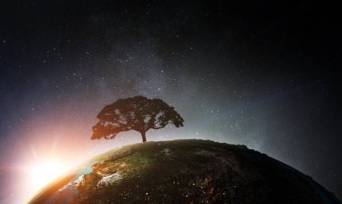 Ağaç ve manzaranın resmi