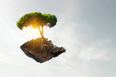Ağaç ve manzaranın resmi