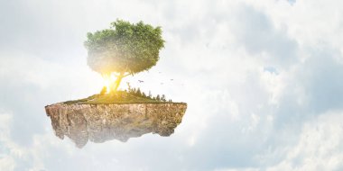 Ağaç ve manzaranın resmi