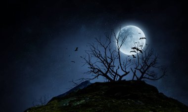 Ürkütücü gece görüntüsü. Karışık ortam