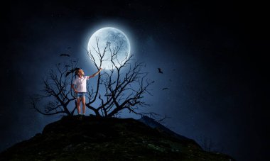 Ürkütücü gece görüntüsü. Karışık ortam