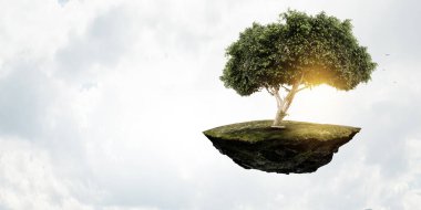 Ağaç ve manzaranın resmi