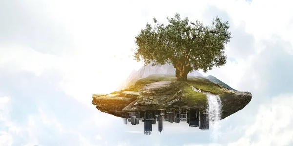 Bild von Baum und Landschaft — Stockfoto