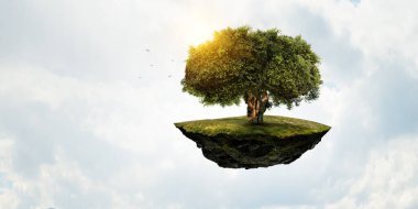 Ağaç ve manzaranın resmi