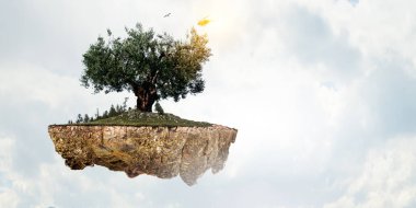 Ağaç ve manzaranın resmi