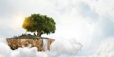 Ağaç ve manzaranın resmi