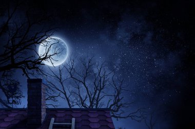 Ürkütücü gece görüntüsü. Karışık ortam