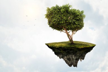 Ağaç ve manzaranın resmi