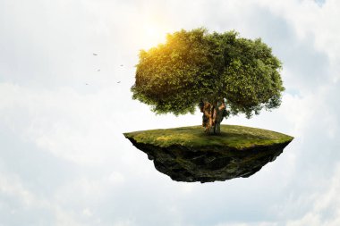 Ağaç ve manzaranın resmi