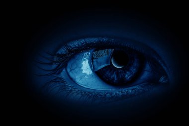 İnsan gözünün makro görüntüsü